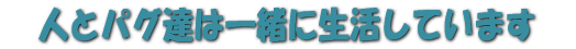 pOB͎RɐĂ܂B 