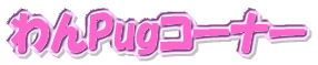 Pug